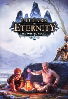 free steam game Pillars of Eternity - The White March Expansion Pass
