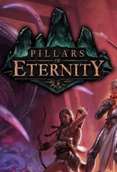free steam game Pillars of Eternity - Champion Edition