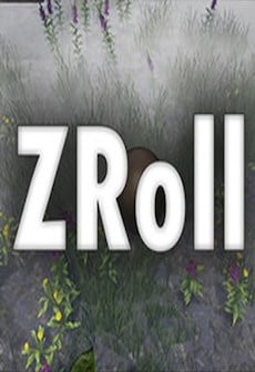 free steam game ZRoll
