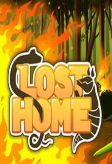 Lost Home