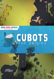 CUBOTS The Origins