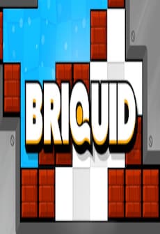 Briquid