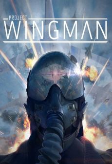 free steam game Project Wingman